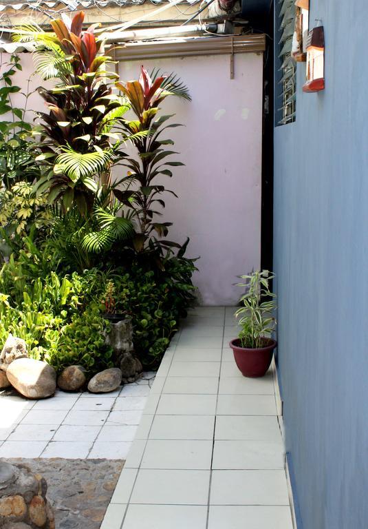 Ximenas Guest House San Salvador Eksteriør billede